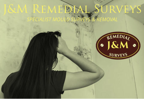 J&M Remedial Surveys SPECIALIST MOULD SURVEYS & REMOVAL